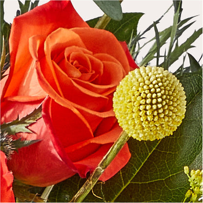 Disco Bouquet –  Militaryflorist.com, Tontitown AR