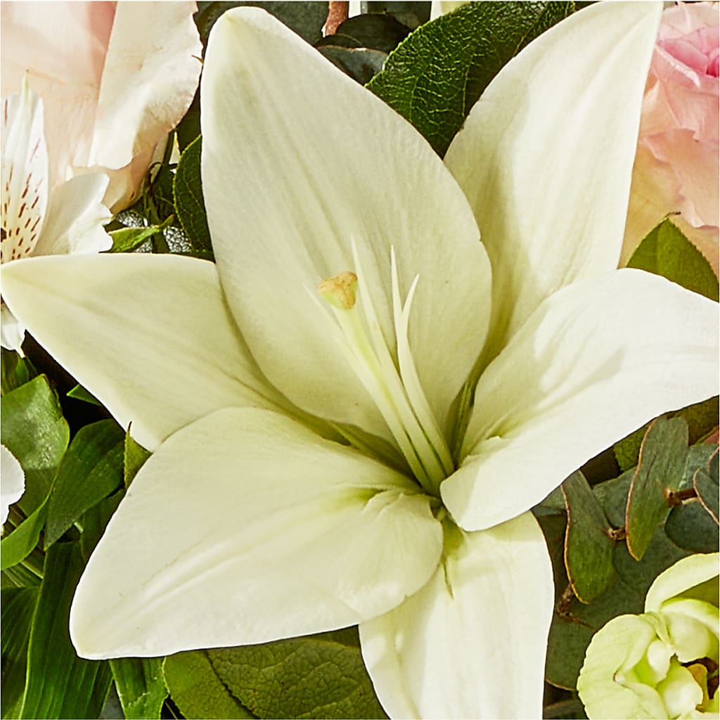 Ballet Slippers Bouquet –  Militaryflorist.com, Tontitown AR