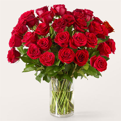 The One Red Rose Bouquet –  Militaryflorist.com, Tontitown AR