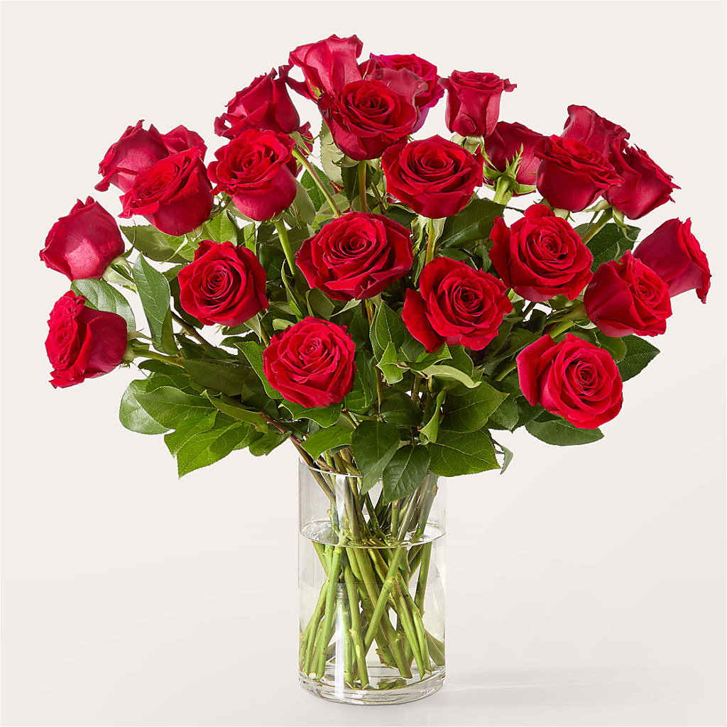 The One Red Rose Bouquet –  Militaryflorist.com, Tontitown AR